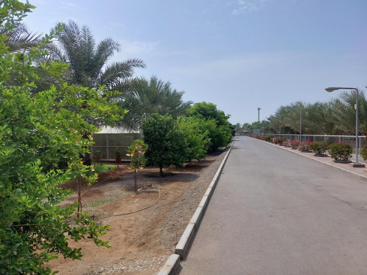 Asahalah Farm Pool Villas Сиб Экстерьер фото